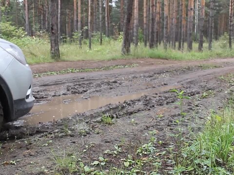 Видео
